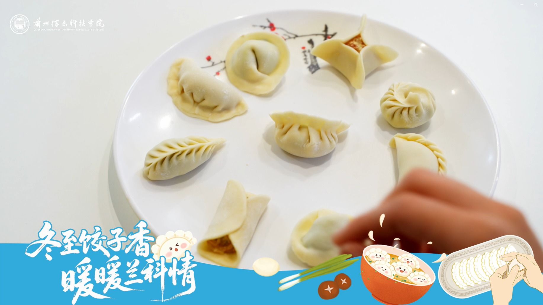 【冬至饺子香】暖暖兰科情，祝大家冬至吉安