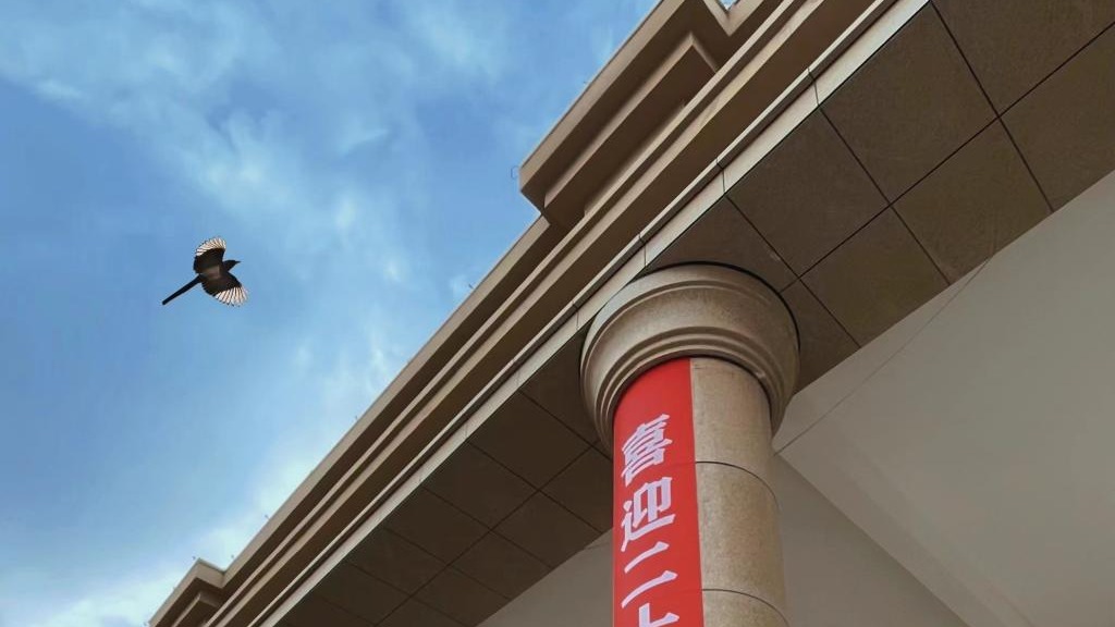 BEAT365英国官网师生喜迎二十大（组图）