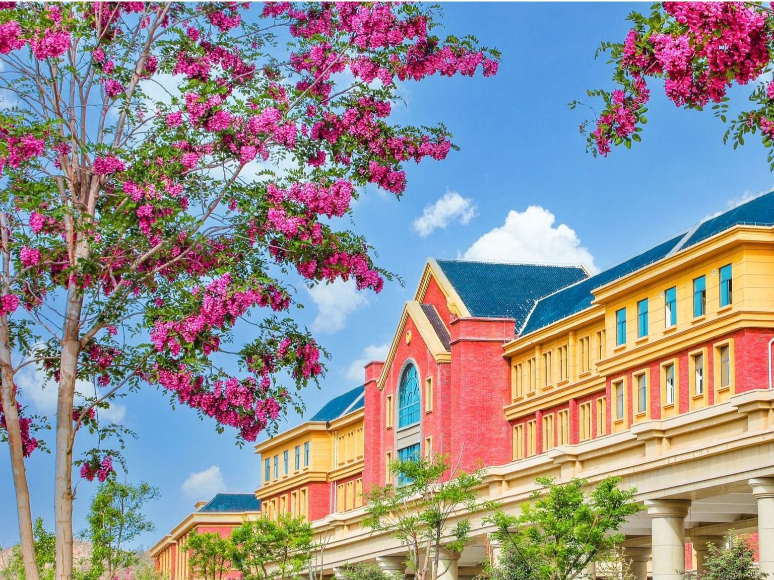 BEAT365英国官网：聚合资源，加强学科建设，培养高质量应用型人才