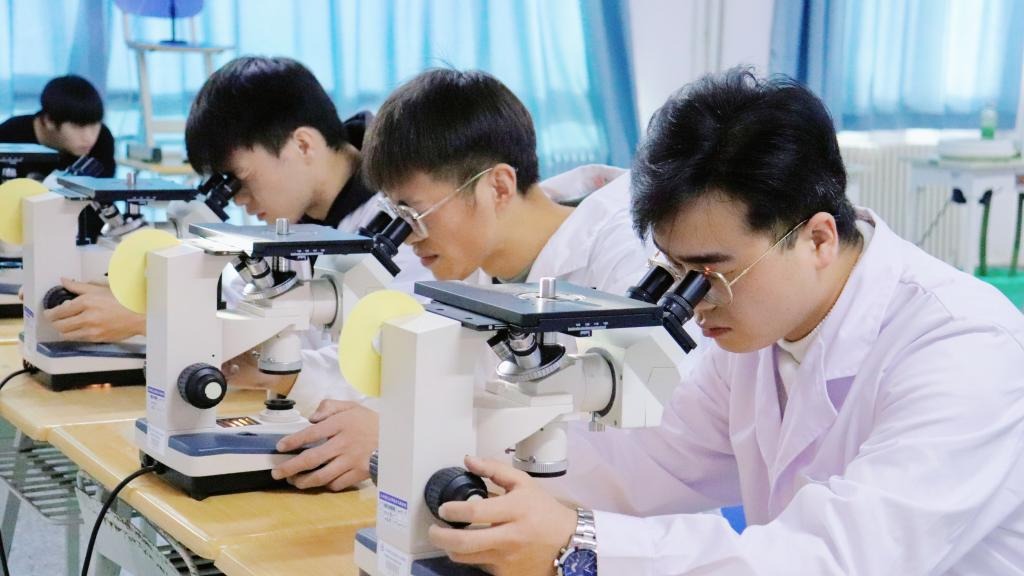 徕卡杯”第十一届全国大学生金相技能大赛决赛BEAT365英国官网分赛场圆满落幕